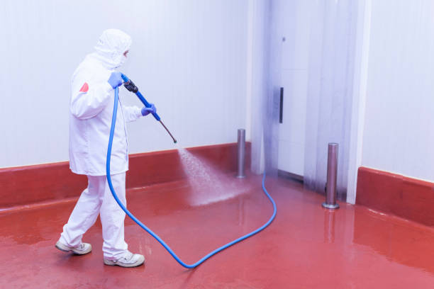Best Soft Washing  in Immokalee, FL